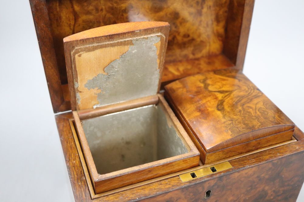 A Victorian burr walnut caddy, length 23cm